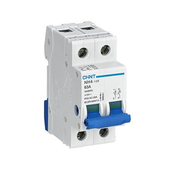 NH4-125/63-2P - INT SEZIONATORE 2P 63A