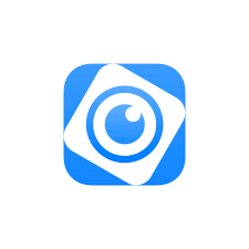 Licenza DMSS per VTO standalone