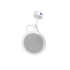 Diffusore pendente da soffitto per sistemi di ev