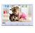 10.1 standalone LCD Monitor with IPS panel , HD